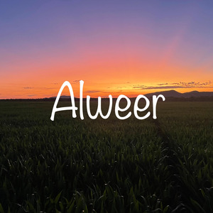 Alweer