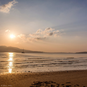 Youarethereasonpiano