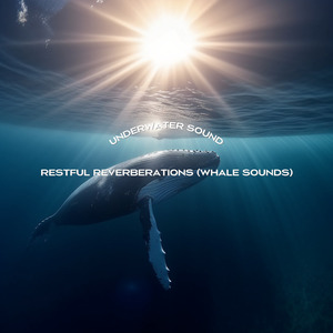 Restful Reverberations (Whale Sounds)