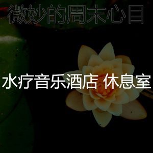 一尘不染水疗酒店印象数