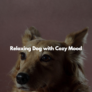 Relaxing (Rainy Day Resting)