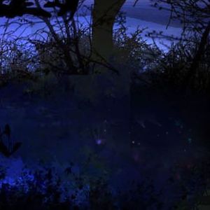 想你的时候 (19)