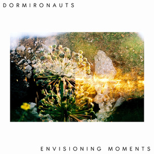 Envisioning Moments