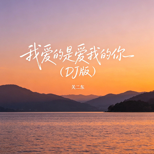 我爱的是爱我的你（DJ版）