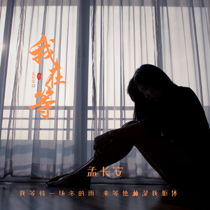 我在等-孟长安