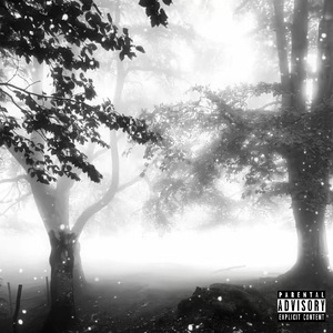 3.Cobain(Feat.999NoReason)