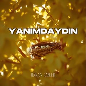Yanımdaydın