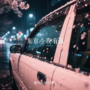东京今夜有雨 (翻斗花园小淘气 Remix)