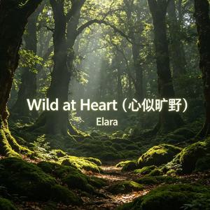 Wild at Heart（心似旷野 )