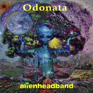 Odonata