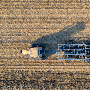 Calm Harvest Morning