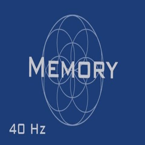 Gamma Waves for Focus Concentration