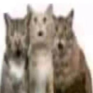 TERMINATORS (feat. backw666s & uncensorable)