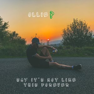 Say, It's Not Like This Forever