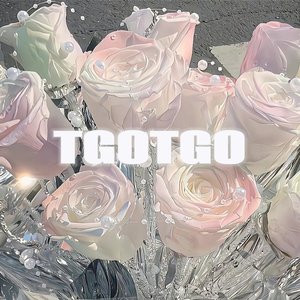 TGOTGO(舔狗舔狗)