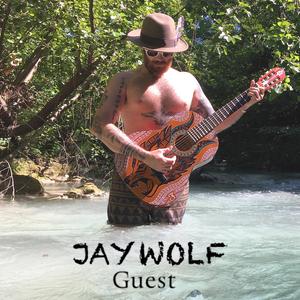 Guest (Instrumental Live Version )