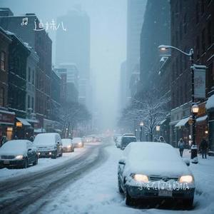 雪落在陌生的城 (迪妹儿 Remix)