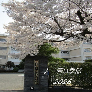 若い季節 (2026 Remix)