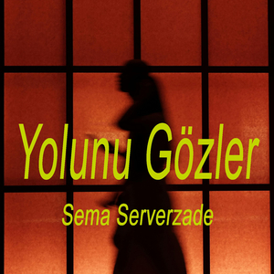 Yolunu Gözler