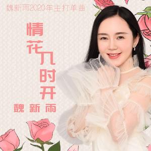 情花几时开 (DJheap九天 咚鼓版)