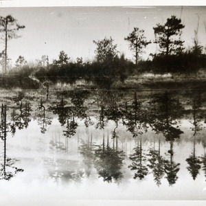 Присутствие