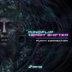 Funky Connection (Original Mix)