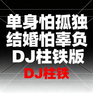单身怕孤独 结婚怕辜负 (DJ柱铁版)
