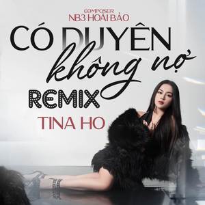 Có Duyên Không Nợ (Remix - Một Người Đứng Từ Xa Chờ Anh Về)