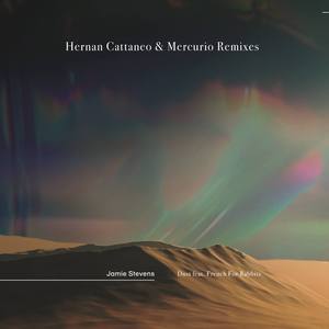 Dust (feat. French For Rabbits) [Hernan Cattaneo & Mercurio Dub]