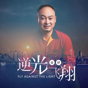 逆光飞翔