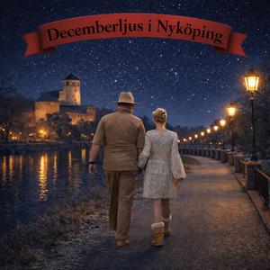 Decemberljus i Nyköping