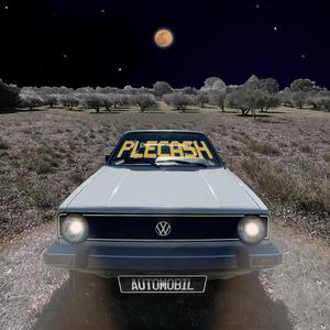 PLECASH (feat. W.lad)