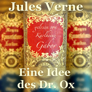 Kapitel 14: Eine Idee des Doctor Ox (Teil 9)