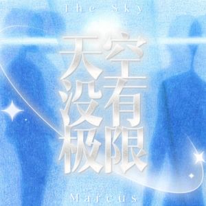 天空没有极限（The Sky)