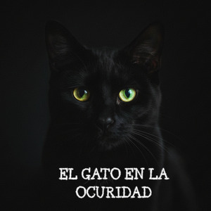El Gato en la Oscuridad