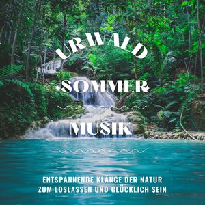 Fantasiereise durch die Wald