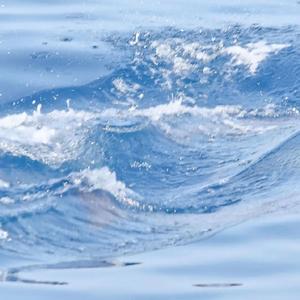 等你的日子不值一提