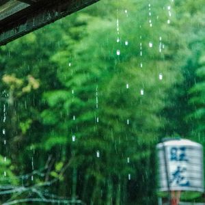 第一滴雨