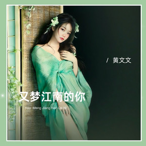 又梦江南的你