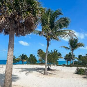 Cant Explain It (feat. P3ACE)