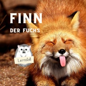 Finn der Fuchs (Radio Edit)