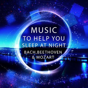 Cantata, BWV 199, ”Mein Herze Schwimmt Im Blut”: II. Aria, Stumme Seufzer, stille Klagen