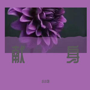 dxgfc