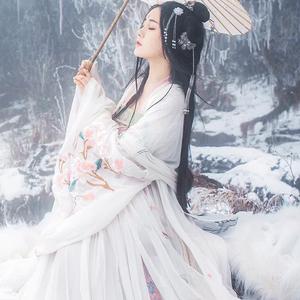 美人画卷（cover：闻人听书）