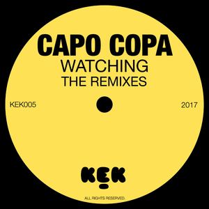 Watching (Booze Willis Remix)