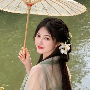 烟柳渡
