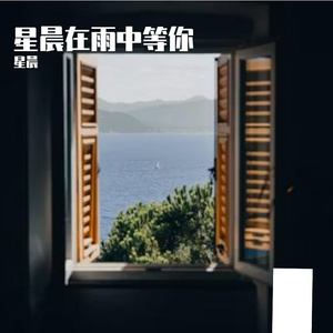 温柔叹息里的寂寥愁绪