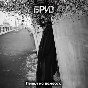 Дорога домой