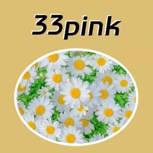 【free】情歌 type beat 春天