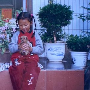 雨燕（cover 南青）